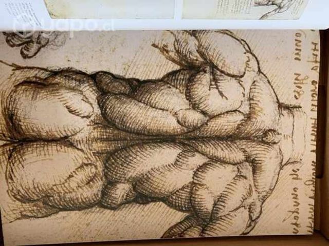 Da Vinci. Obra pictórica completa