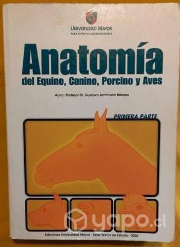 Anatomía del equino, canino, porcino y aves
