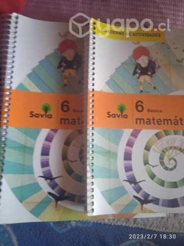 Texto escolar 6°basico MATEMATICA (S.M)