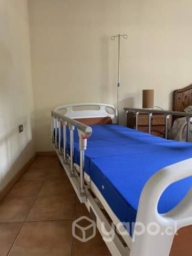 Catre clínico 3 posiciones