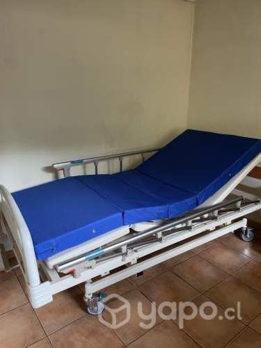 Catre clínico 3 posiciones