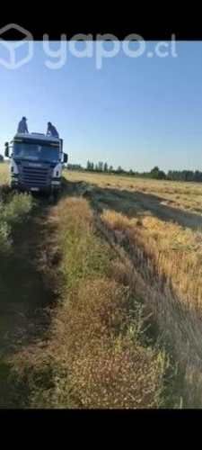 Parcela excelente .a pasos de parral