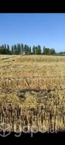 Parcela excelente .a pasos de parral