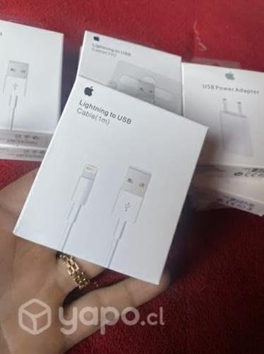 Cargador de iPhone