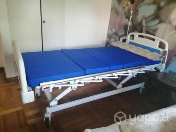 Cama ortopedica