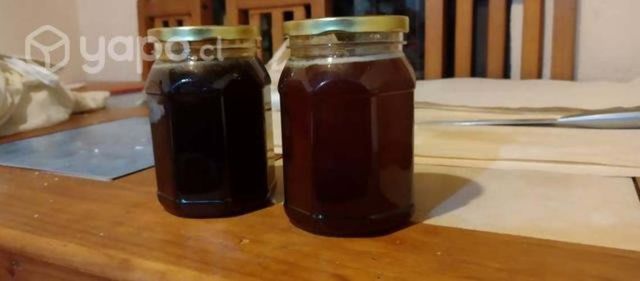 Queso y miel de ovalle tulahuen