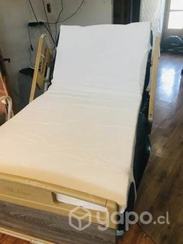 Cama clínica 3 posiciones
