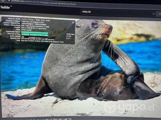 RTX 2060 OC 6GB Gddr6 Gigabyte