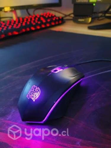 Mouse Ttesports