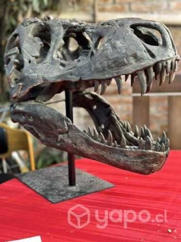 Craneo T- Rex Resina y metal hecho a mano