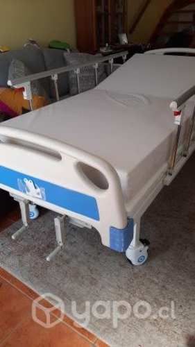 Catre clínico con colchón