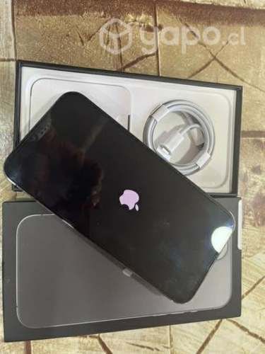 Iphone 13 Pro Max de 1 TB