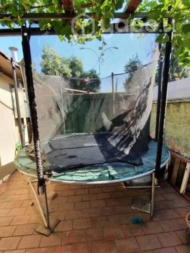 Cama elástica Berg modelo Favorit