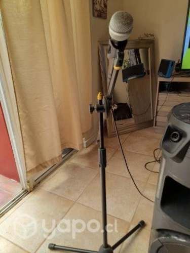 parlante sony con dos microfonos