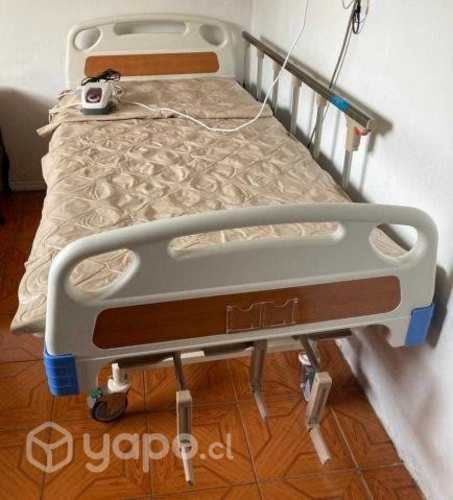 Cama Clinica