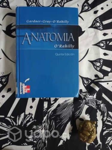 Anatomía de Gardner, Gray, O'Rahilly