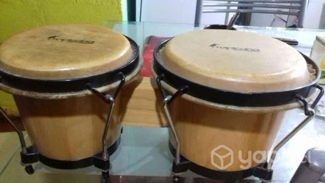 Bongos, Marca Tropicana