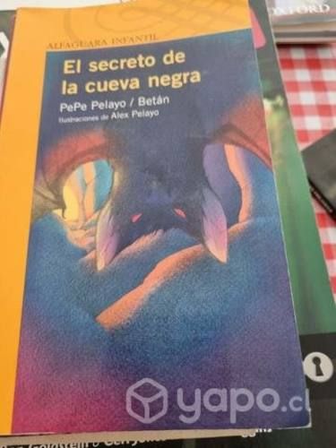 El secreto de la cueva negra