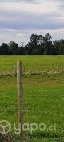 Parcela hectárea y media