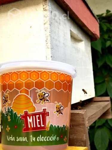 Miel de abejas URBANAS