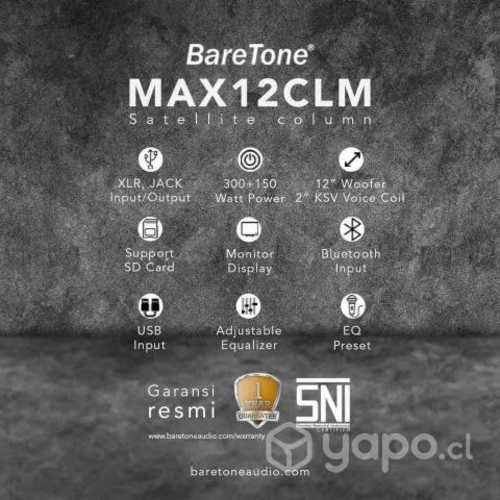 Mini array baretone 450 watts rms