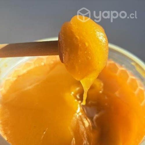 Miel de abejas de Alta Pureza, 100% natural