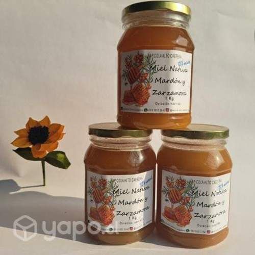 Miel de abejas de Alta Pureza, 100% natural