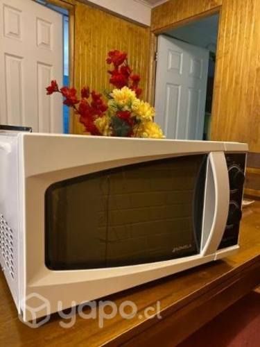 Microondas Somela