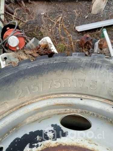 Neumaticos con llanta