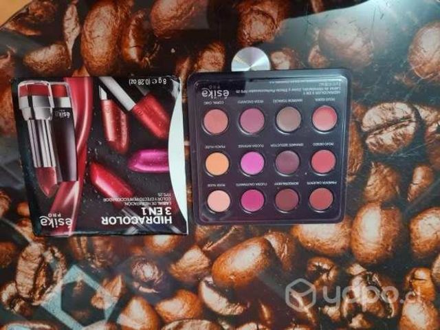 Estuche labiales 12 colores