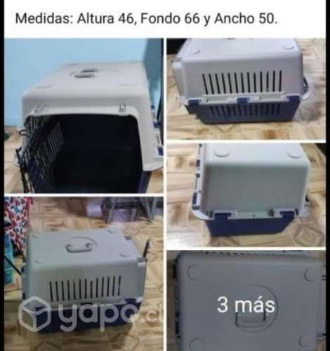 Caja porta mascota