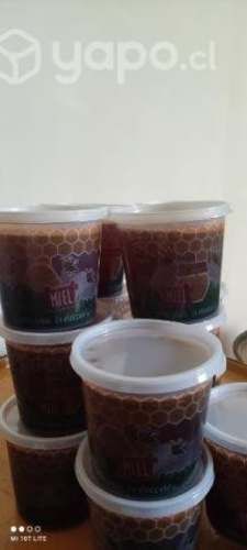 Miel 100% natural de este año cosechada