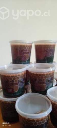 Miel 100% natural de este año cosechada