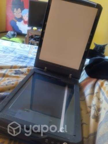 Escaner epson