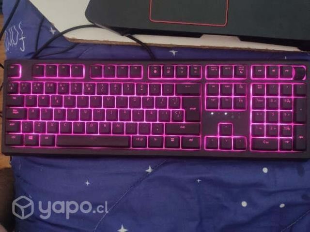 teclado