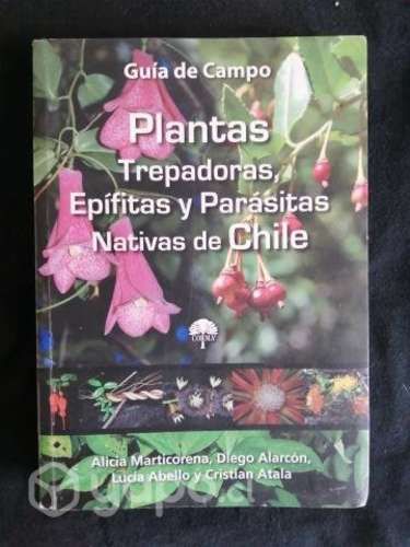 Plantas Trepadoras