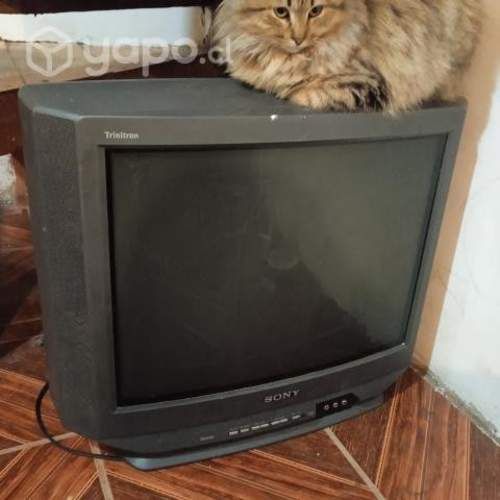 Televisor 21 pulgadas