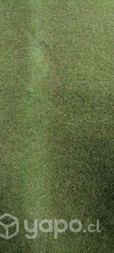 trozo pasto sintetico