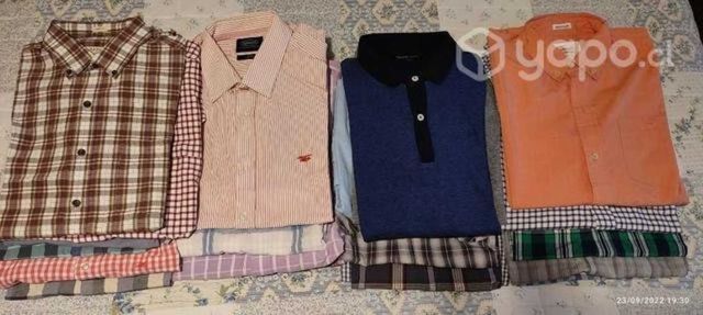 Lote camisas y poleras