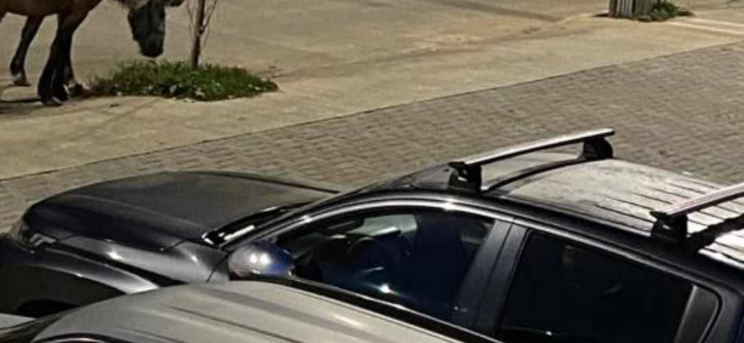 Barras de techo Thule