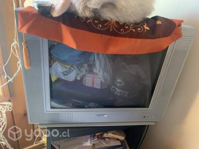 Televisor hyundai