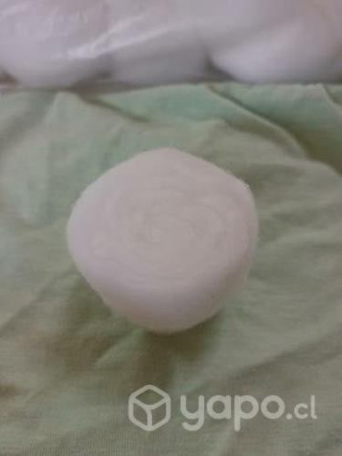 Algodon (torula grande)