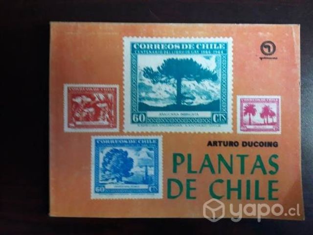Plantas De Chile