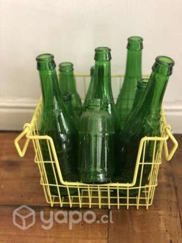 Colección botellas verdes vintage