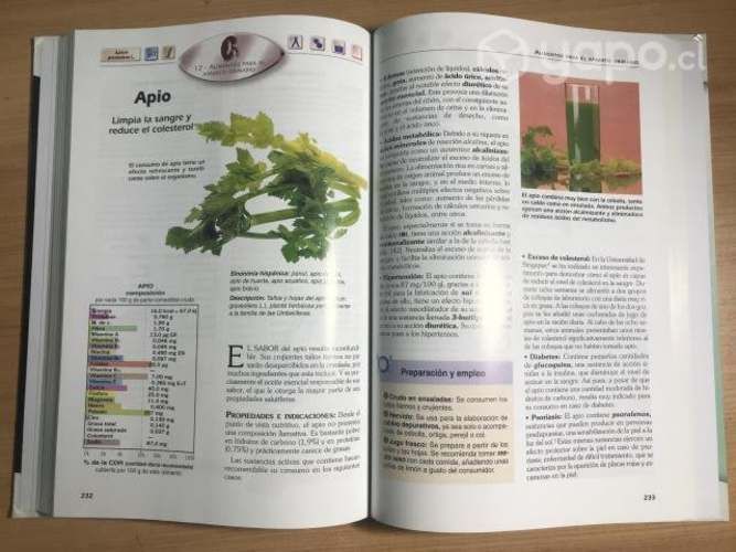 Libros roger pamplona poder medicinal de jugos etc