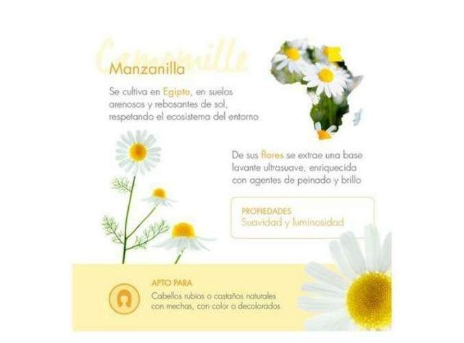 Shampoo Klorane Manzanilla