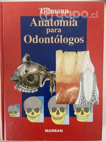 Anatomia para odontologos Tillmann