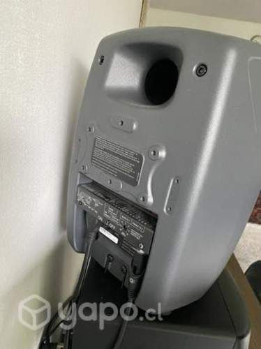 Genelec 8040B Monitores de Estudio