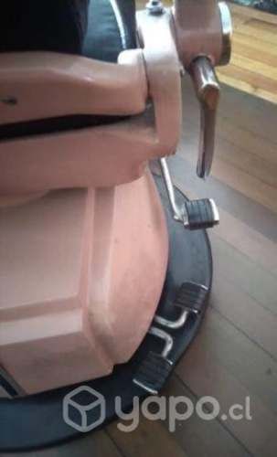 Sillon dental palo rosa