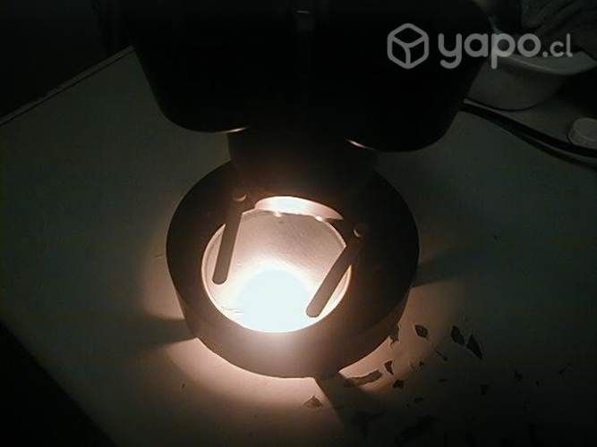 Microscopio binocular